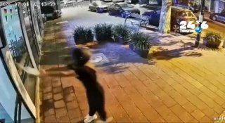 אלמונים רעולי פנים הציתו בית קפה ברמת גן; נבדק קשר לפעילות בשבת