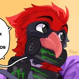 Beak🦎