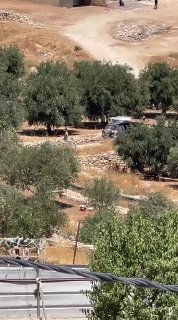 מתנחל מכוון את נשקו לעבר ילדים בח'לת אל-נאטש, דרומית לחברון.