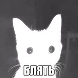 Тиш от слова т/и