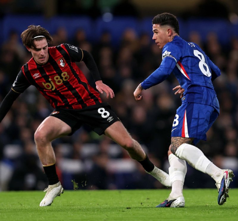 CHELSEA CF: میگوئل دلینی، ایندیپندنت چلسی در حال آمادهسازی برای بازگشت به مذاکرات جهت جذب الکس اسکات است پیشنهادی در حدود 80 میلیون