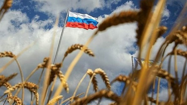 دولت بهار: 🔴 افت سنگین صادرات غلات روسیهبر اساس داده‌های اتحادیه غلات روسیه، صادرات غلات این کشور در ماه ژوئیه نسبت به سال گذشته ۳۸