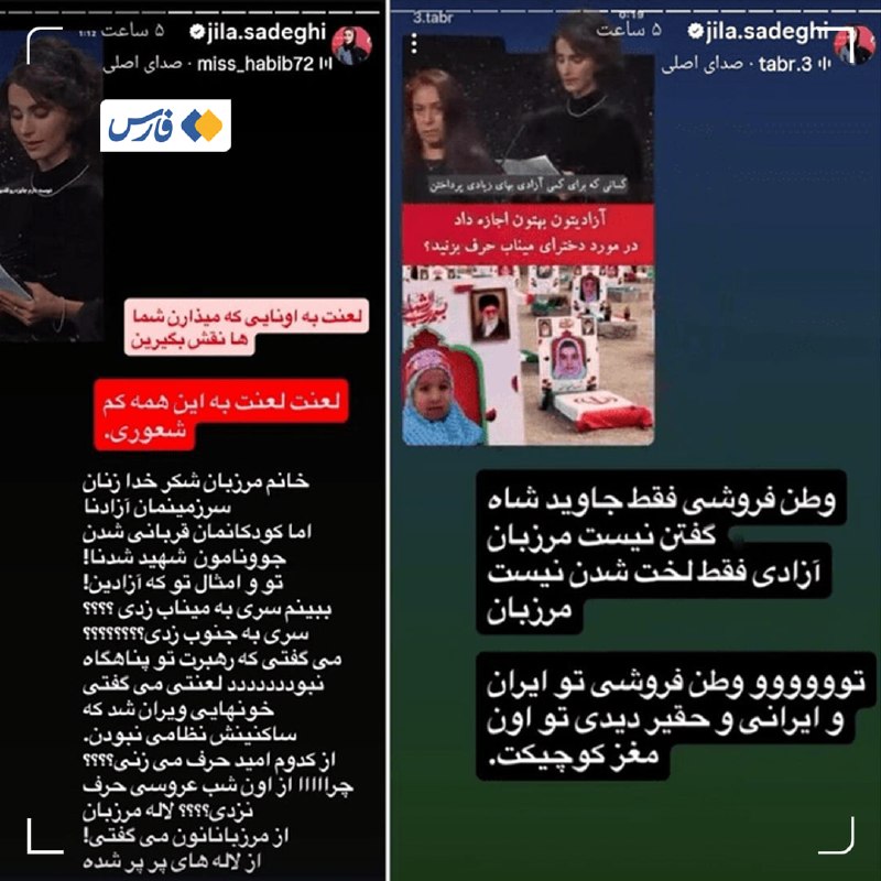 ژیلا صادقی خطاب به بازیگر زیرزمینی: چرا از اون عروسی حرف نزدی؟ — فارس (تلگرام)