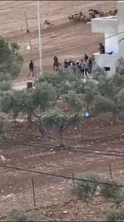 סצנות מהתקפת המתנחלים בכפר אל-מוג'יר, רמאללה, ותגובת הצעירים אליהם.