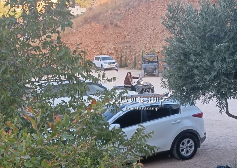 מתנחלים מסתערים על מעיין אבו אליאס בכפר אל-בדאן, צפונית מזרחית לשכם