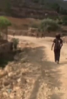 Settlers, protected by Israeli forces, steal 20 heads of sheep from farmer Abu Muhammad al-Kaban while he was in the Ain Kiniya valley, northwest of Ramallah.