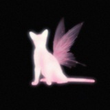 Meowikee ⋆ 𐙚 .