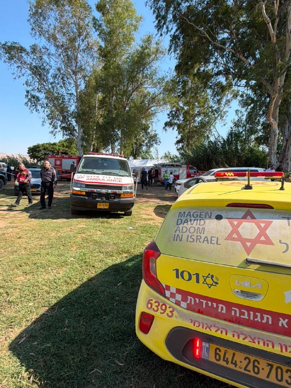 גיא ורון