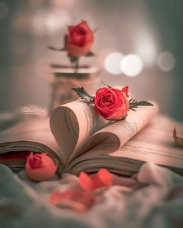 ❤️ حریم عشق ❤: بدان و آگاه باش:سرنوشت دروغی بیش نیست.انسان خود کتاب زندگی اش را مينويسد.هیچ چیز بر پیشانی تو ننوشته اند.پیشانی تو لوحي 
