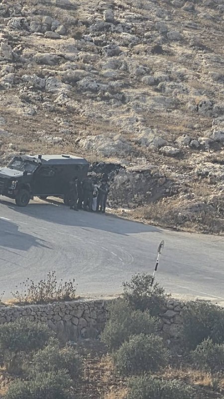 כוחות הכיבוש עצרו צעיר והתעללו בו בכניסה לכפר אל-מוג'יר, צפונית מזרחית לרמאללה.