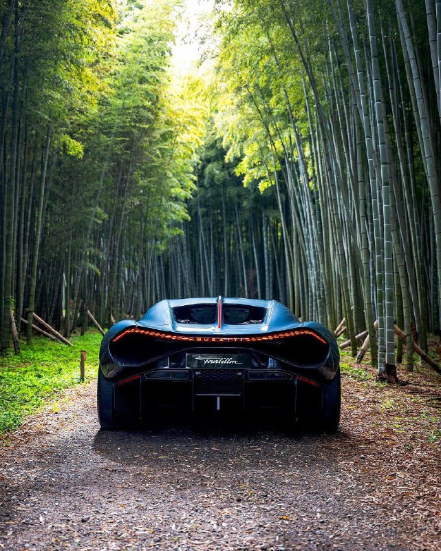 Bugatti Tourbillon 10
