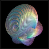Ракушка мыслей🐚