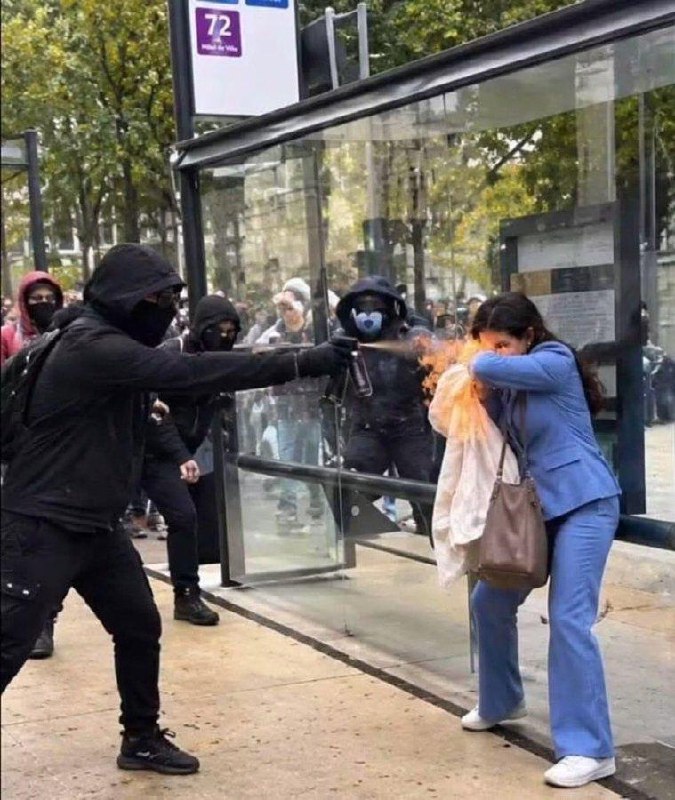 🇫🇷 צרפת 2026