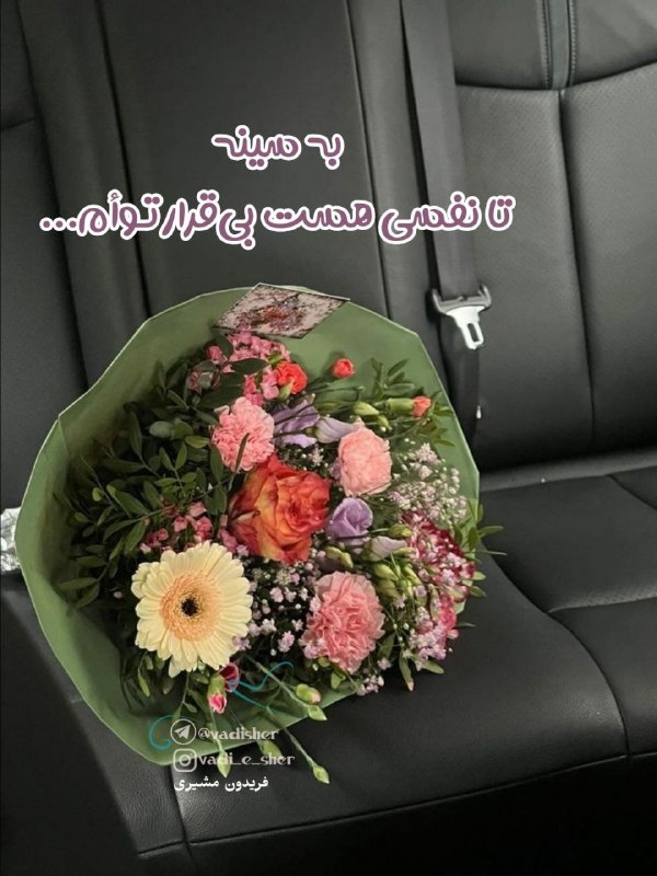 ╔═ ೋღ وادی شعر ღೋ═╗: @vadisher🌐🤎🩵🤎🌐به سینه تا نفسی هست بی‌قرار تـوأم...👕👕👕👕👕#فریدون‌_مشیری