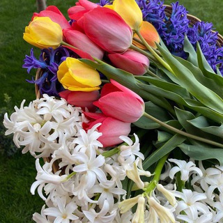 4 Muslima_decor