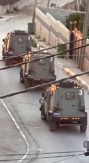 היבט נוסף של כוחות הכיבוש מסתערים על העיירה טמון, דרומית לטובאס, ופשטו על בית.