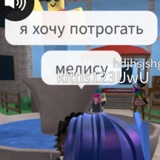 косяка семпаии