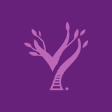 C# Development | YeaHub
