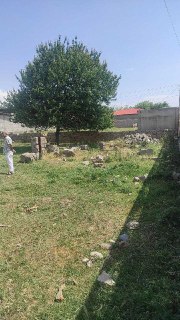 баракали яхши дачаси янги эгасини  кутвотди