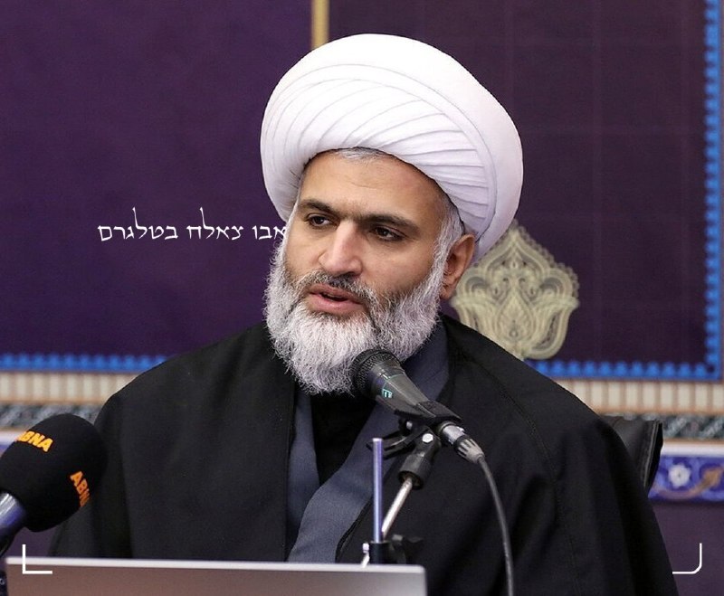 חבר מועצת המומחים