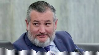 טד קרוז: אנחנו עלולים להפסיד בכל מירוץ בכל מדינה בטקסס.
