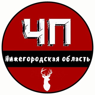 Telegram profile photo for ЧП Нижний Новгород и Нижегородская область