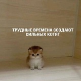 Патрицианка дома Венериан/Амбассадор Янтеров|18+