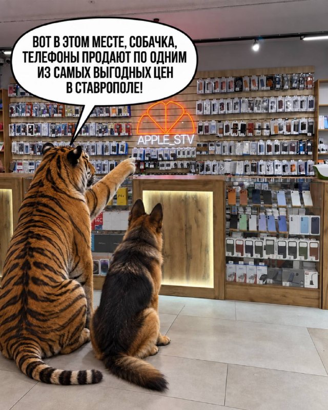 Image from a post by Нетипичный Ставрополь️