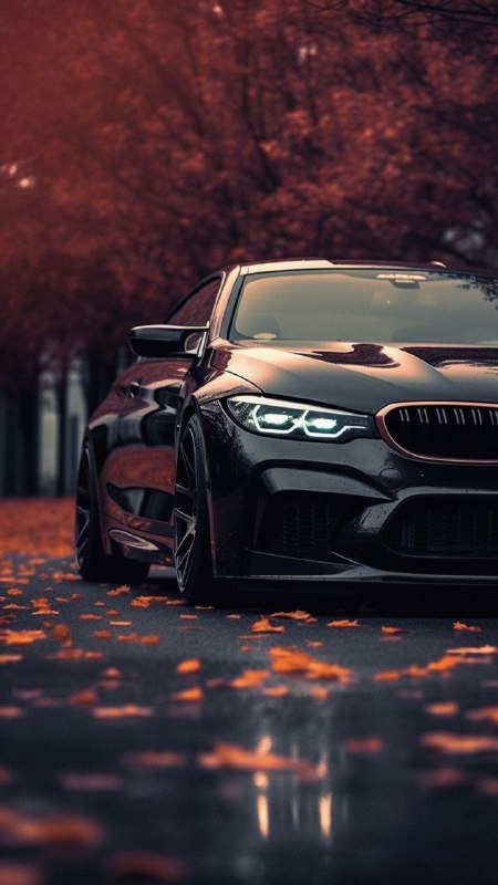 https://t.me/bmw_mpower_club