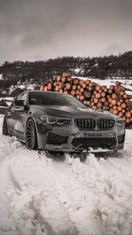 https://t.me/bmw_mpower_club