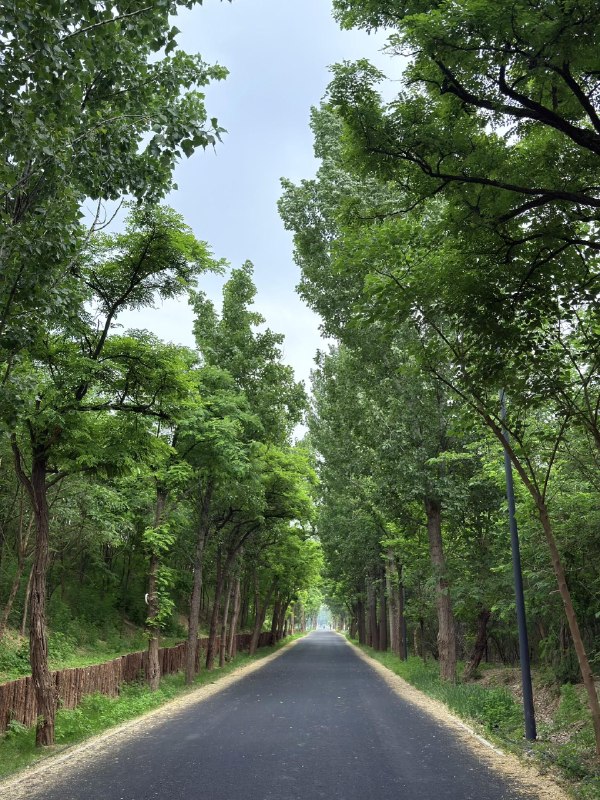温榆河沉浸式骑行路快修好了没有汽车没有红绿灯温榆河沉浸式骑行路快修好了没有汽车没有红绿灯