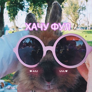 TR ++ Telegram Group Link