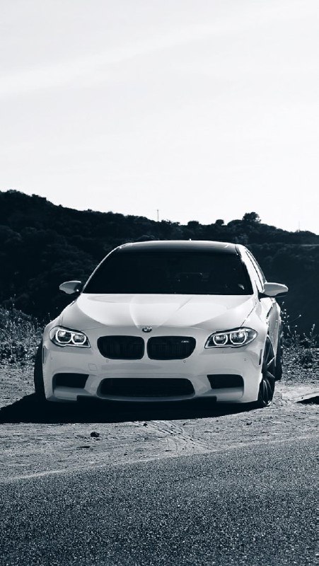 https://t.me/bmw_mpower_club