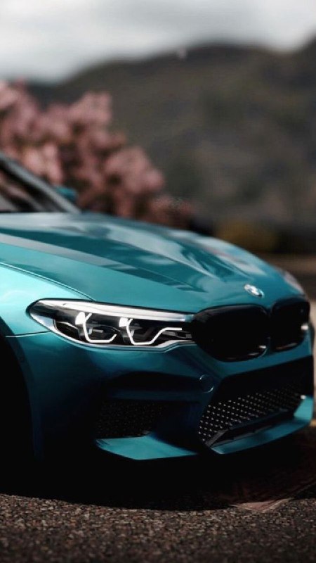 https://t.me/bmw_mpower_club