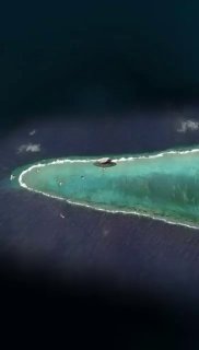 Why Japan is spending 487 million dollars to protect a 16 m² coral reef called Okinotorishima.Did you know? 🎓