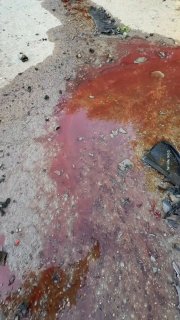 قصف إسرائيلي يقتل عشرات في مدينة غزة