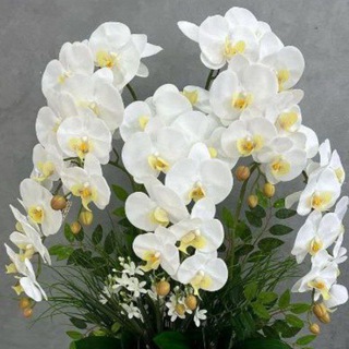 Gullar 🌷💐🌹🪻🌺