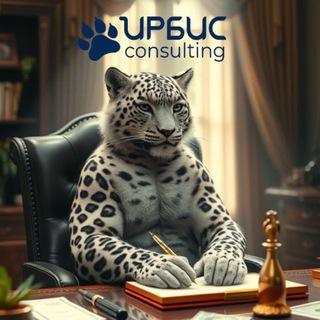Ирбис Consulting - Регистрация ООО, ИП