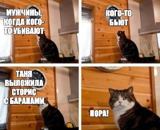 Риэлторку из Оренбурга оштрафовали за унижение мужчин в интернете. Её бизнес-партнёру не понравились сравнение представителей сильного пола с "бездомными собаками", "балластом" и "подлыми баранами". По данным Mash, у Татьяны Витик не сложились отношения с 