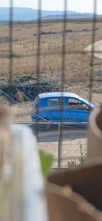 מתנחלים מתגרים בתושבים בכפר אלמסודייה, מצפון-מערב לשכם.