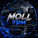 MOLL ORGANISATION
