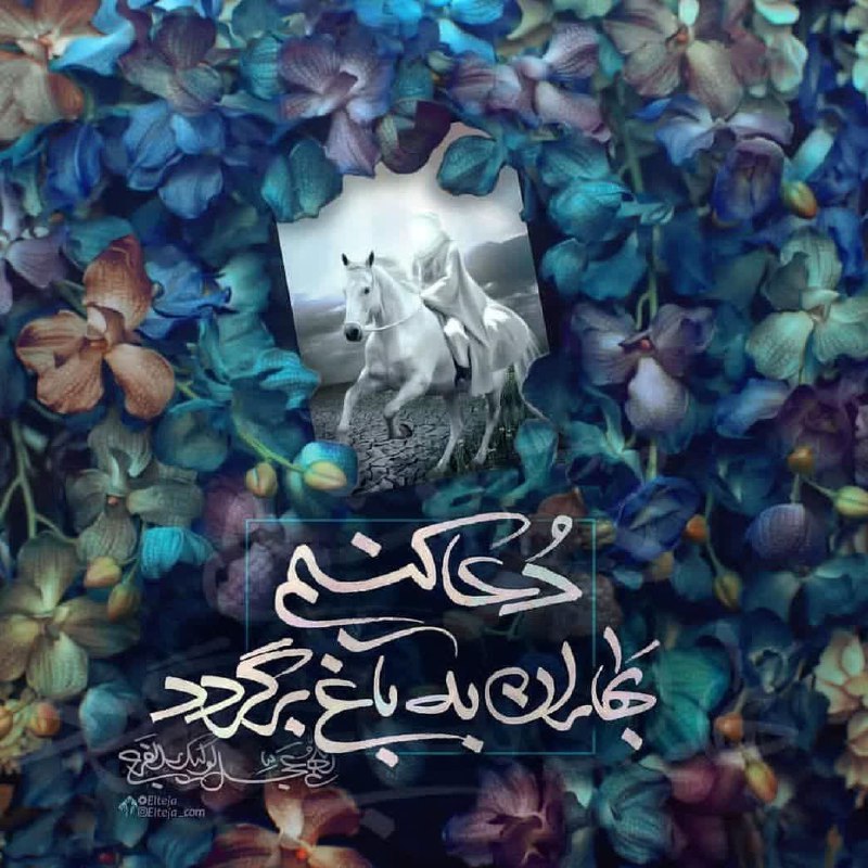 🌹چشم ب راه یوسف زهرا س🌹: سلام_امام_زمانم❤️مولایم!همه روز،آفتاب به امید آمدنتطلوع می کند.انتظار برایمان بس استای عشق طلوع کن!اللهم_عجل_لوليڪ_الفرج