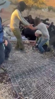 מתנחל מכה פעיל שניסה למנוע גניבת בעלי חיים פלסטינים