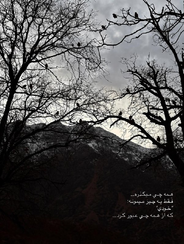 🌺میگون در گذر زمان🌺: _همه چي ميگذره@meyguon