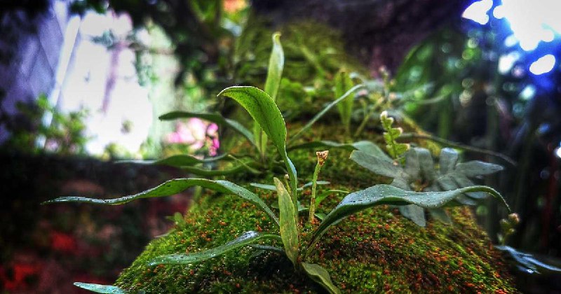 A Guide to Ethereum Layer 2 Scaling Solutions | Hashtag Web3