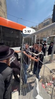 אלי הירשמן