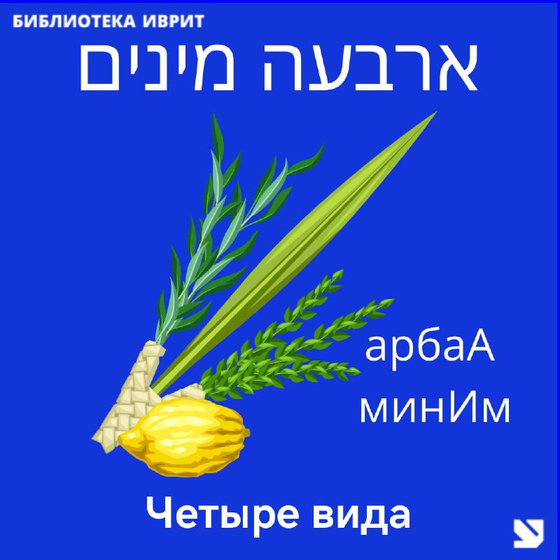 Image from a post by Иврит Клуб