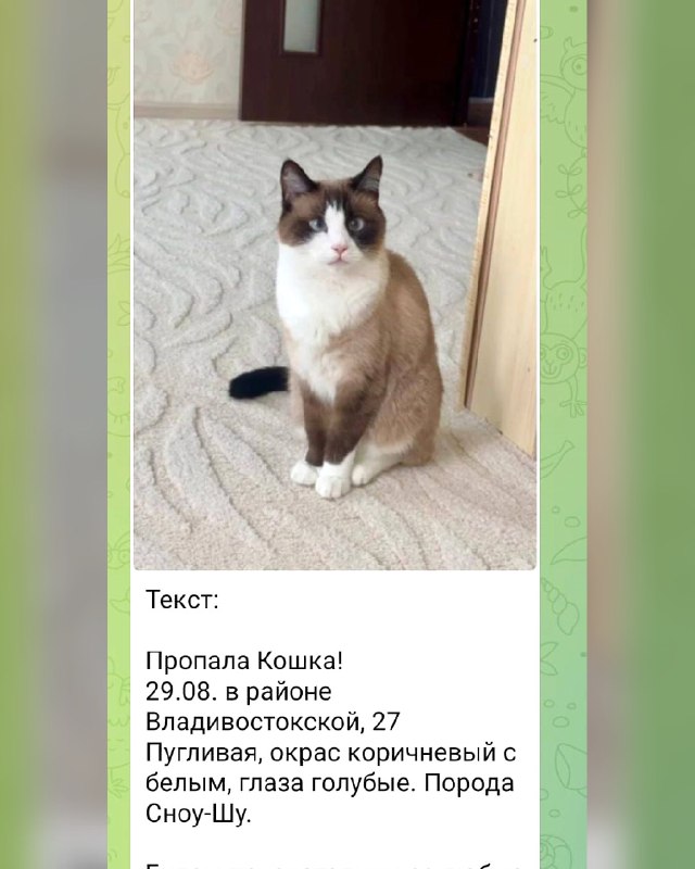 Пропала кошка!

29 августа 2026 года в районе...