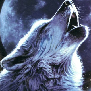 Lobetes 2.0. Donde todos somos mancos hasta para esto. Telegram Group Link