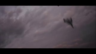 🎦 הציפור האיראנית הזולה ביותר השמידה את המטוס האמריקאי היקר ביותר